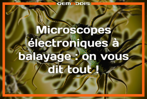 PDG-article-microscope-électronique-à-balayage.jpg